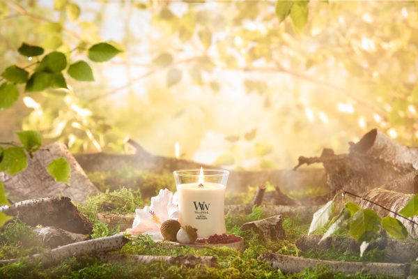 new! woodwick solar haze medium
